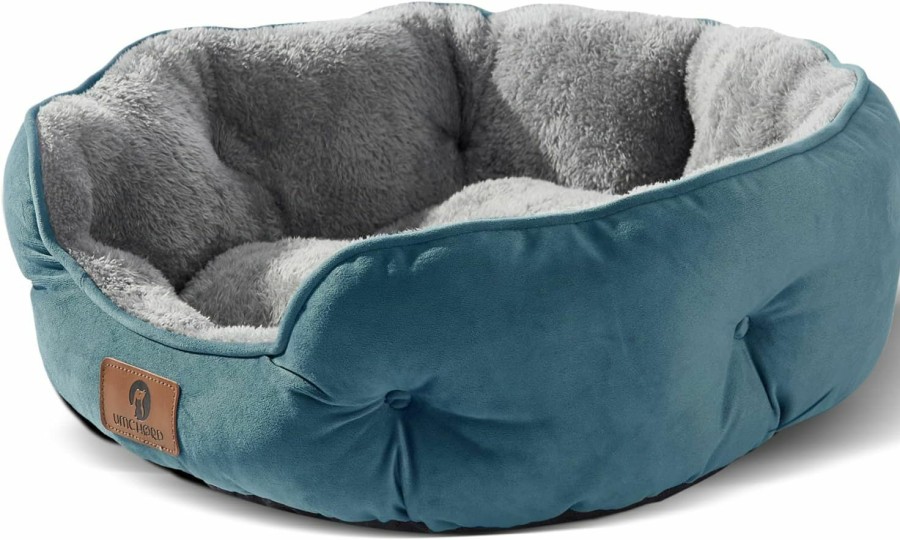 Cat Asvin | Asvin Small Dog Bed For Small Dogs, Cat Beds For Indoor Cats, Pet Bed For Puppy And Kitty, Extra Soft & Machine Washable With Anti-Slip & Water-Resistant Oxford Bottom, Grey, 20 Inches