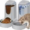 Cat HWONMTE | 2 Pack Automatic Cat Dog Feeder And Water Dispenser With Stainless Steel Bowl Gravity Food Feeder And Waterer For Small Medium Pets Puppy Kitten