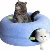 Cat Cattasaurus | Cattasaurus Peekaboo Cat Cave For Multiple & Large Cats Up To 30 Lbs, Scratch Detachable & Washable Tunnel Bed (Dark Gray, Large)