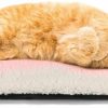 Cat Mora Pets | Self Warming Cat Bed Self Heating Cat Dog Mat 24 X 18 Inch Extra Warm Thermal Pet Pad For Indoor Outdoor Pets With Removable Cover Non-Slip Bottom Washable