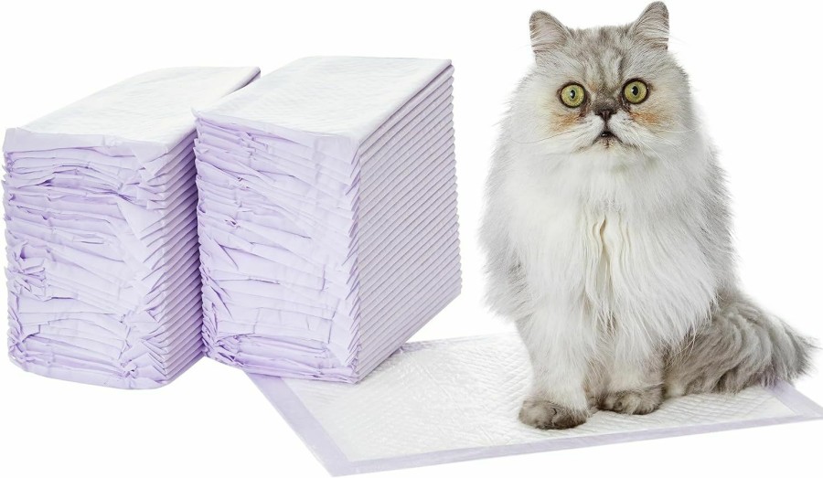 Cat Amazon Basics | Amazon Basics Cat Pad Refills For Litter Box, Unscented, Pack Of 40, Purple And White