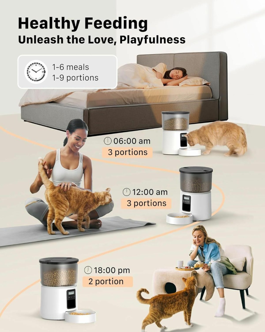 Cat BEMOONY | Automatic Cat Feeder: Cat Food Dispenser - Cat Feeder With 1-6 Meals - Cat Feeder Automatic - Customized Feeding Schedule For Cats & Dogs - 3L Cat Automatic Feeders Including Desiccant Bag - Bemoony