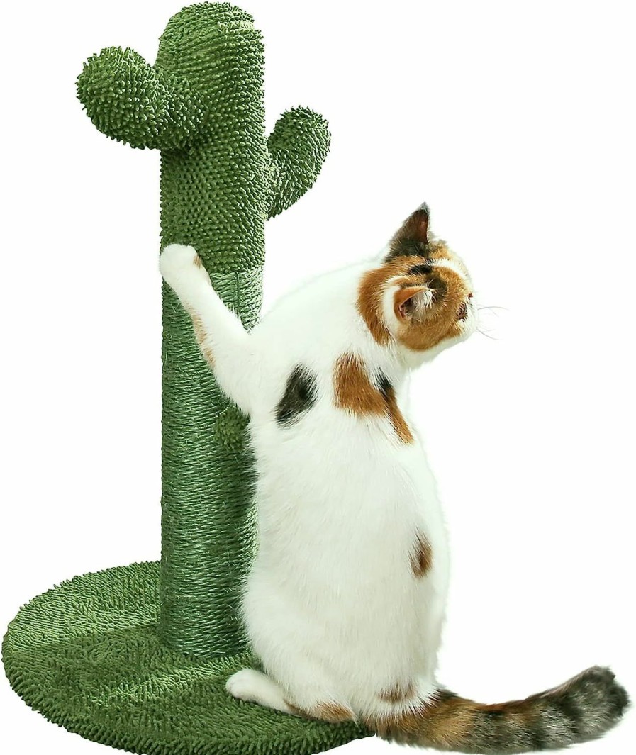 Cat PetnPurr | Petnpurr Cactus Cat Scratcher Protect Your Furniture With Our Natural Sisal Cat Scratching Post With Teaser Ball Cat Toy