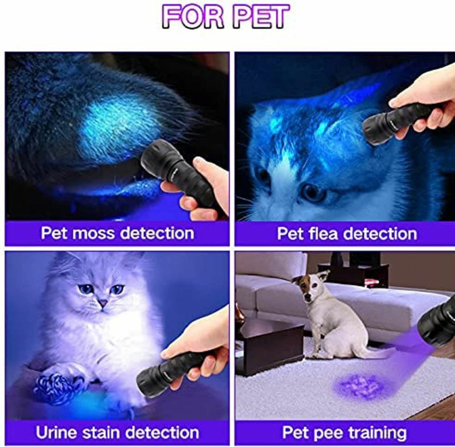 Cat Vansky | Black Light Uv Light Flashlight, 21 Led 395Nm Ultraviolet Blacklight Flashlight Mini Pet Urine Detector For Dog/Cat, Dry Stains, Resin Curing, Matching With Pet Odor Eliminator(Batteries Are Included)