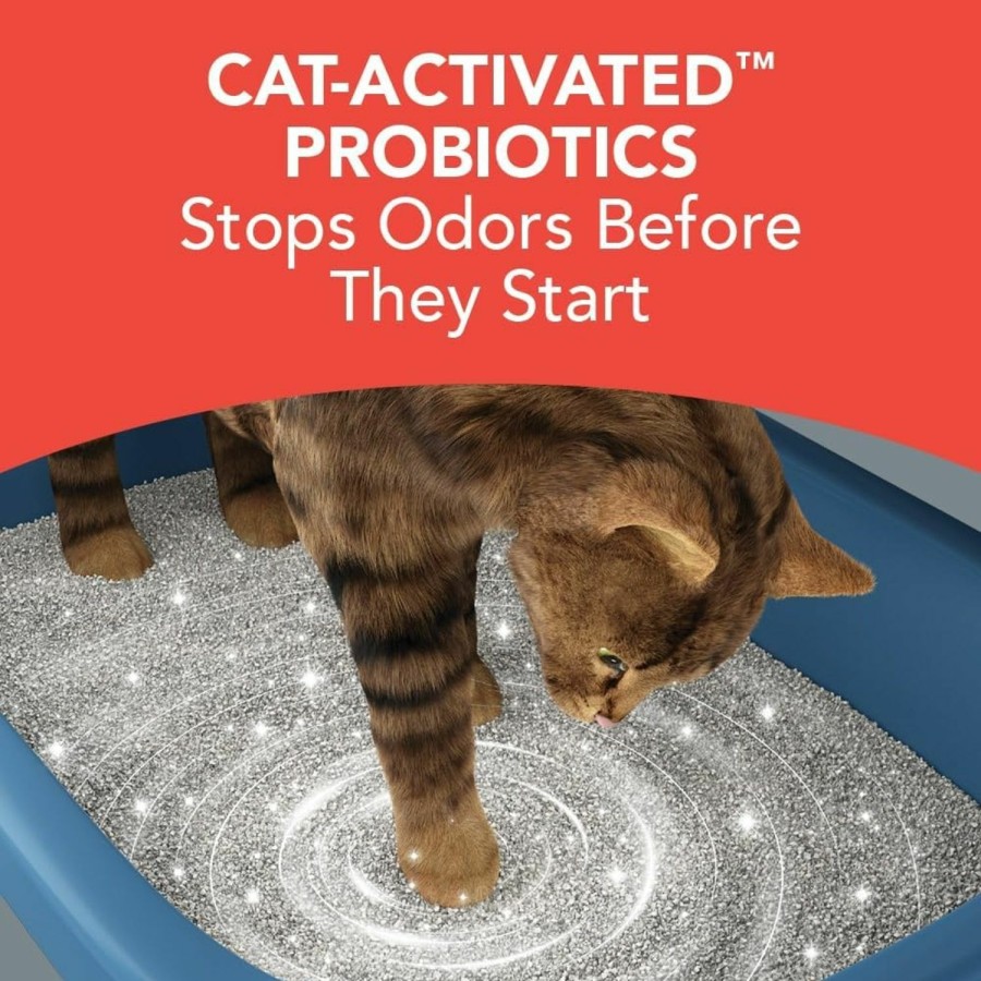 Cat Boxiecat | Boxiecat Premium Clumping Clay Cat Litter, Extra Strength Formula, 40Lbs - Cat Activated Probiotics- Longer Lasting Odor Control- Hard, Non Stick Clumps - Stays Ultra Clean - 99.9% Dust Free